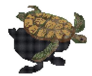 MALLA PISCINA 2000X2000 DECORADO HAPPY POOLS TURTLE COD. 2002443 - PMO