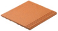 PELDAÑO 33X33X2 INTERIOR GRES NATURAL - GDB